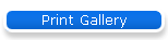 Print Gallery